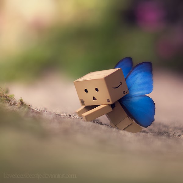    Danbo  butterflies_are_free