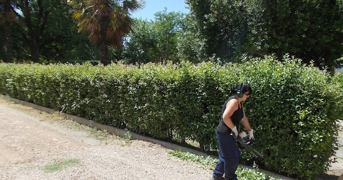 Ayerbe Taller de Empleo Jardineria: Repasando el Parque de los Ciervos