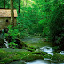hd nature wallpapers | hd computer wallpaper | hd nature wallpapers 1080p | free hd nature wallpapers | wallpaper downloads | download wallpapers | desktop wallpaper free | background wallpaper | wallpaper backgrounds | nature wallpaper backgrounds | free wallpaper backgrounds