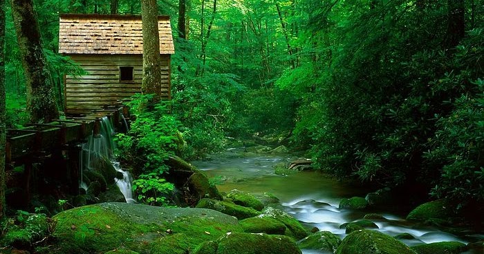 hd nature wallpapers | hd computer wallpaper | hd nature wallpapers