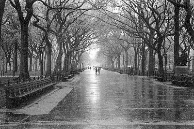 A Wet Day