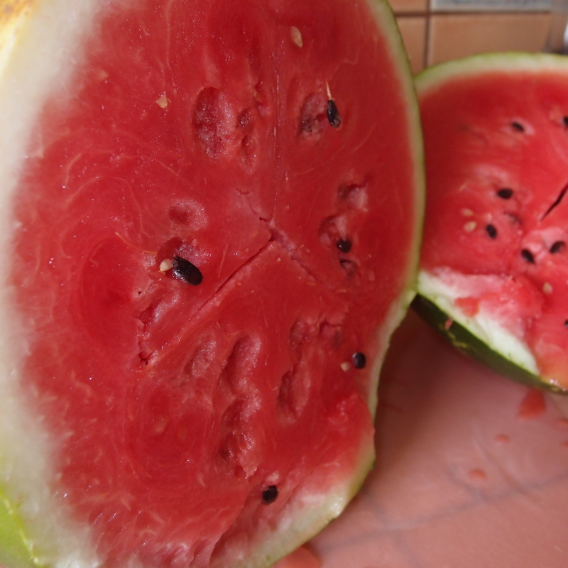 eight acres: real food watermelon granita recipe