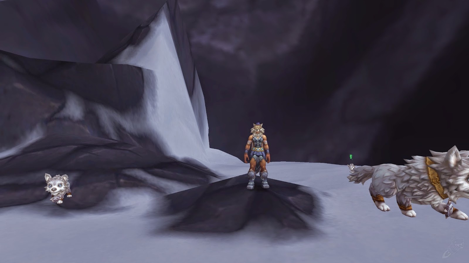 Master of World of Warcraft Draenor Pet Battle Daily Trainers, Carry