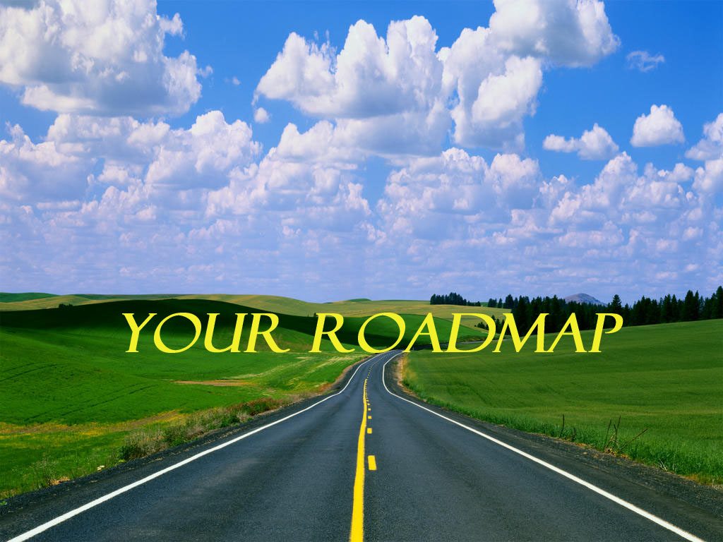 if the strategy is ablue book to envision the future of organization then the roadmap is more as a playbook to describe in detail upon how to get there