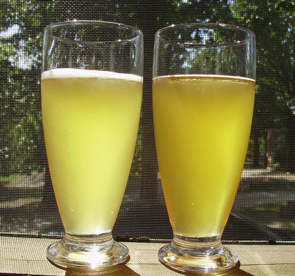 Nate O.'s Brew Log Tripledecoction vs. Nosparge + melanoidin malt.