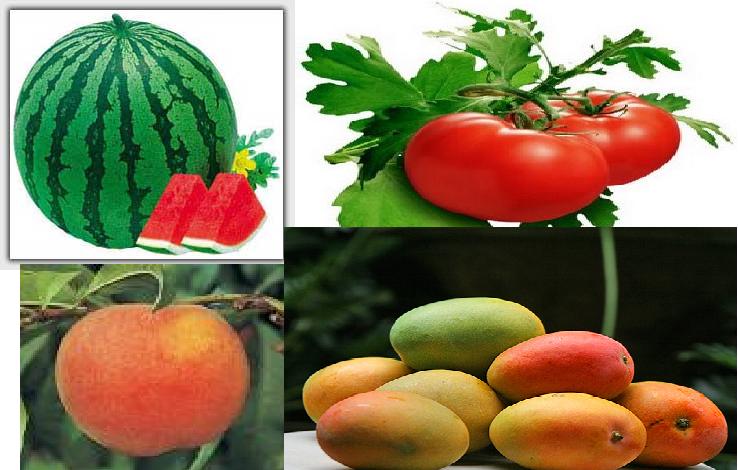 gambar buah buahan dalam keranjang