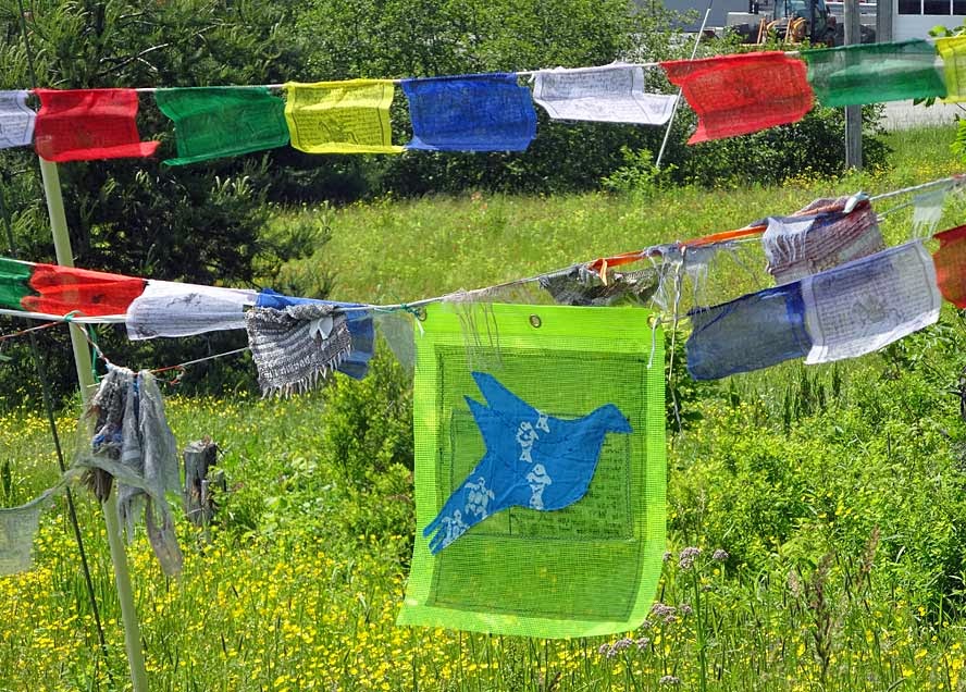 Woven Voices Messages from the Heart