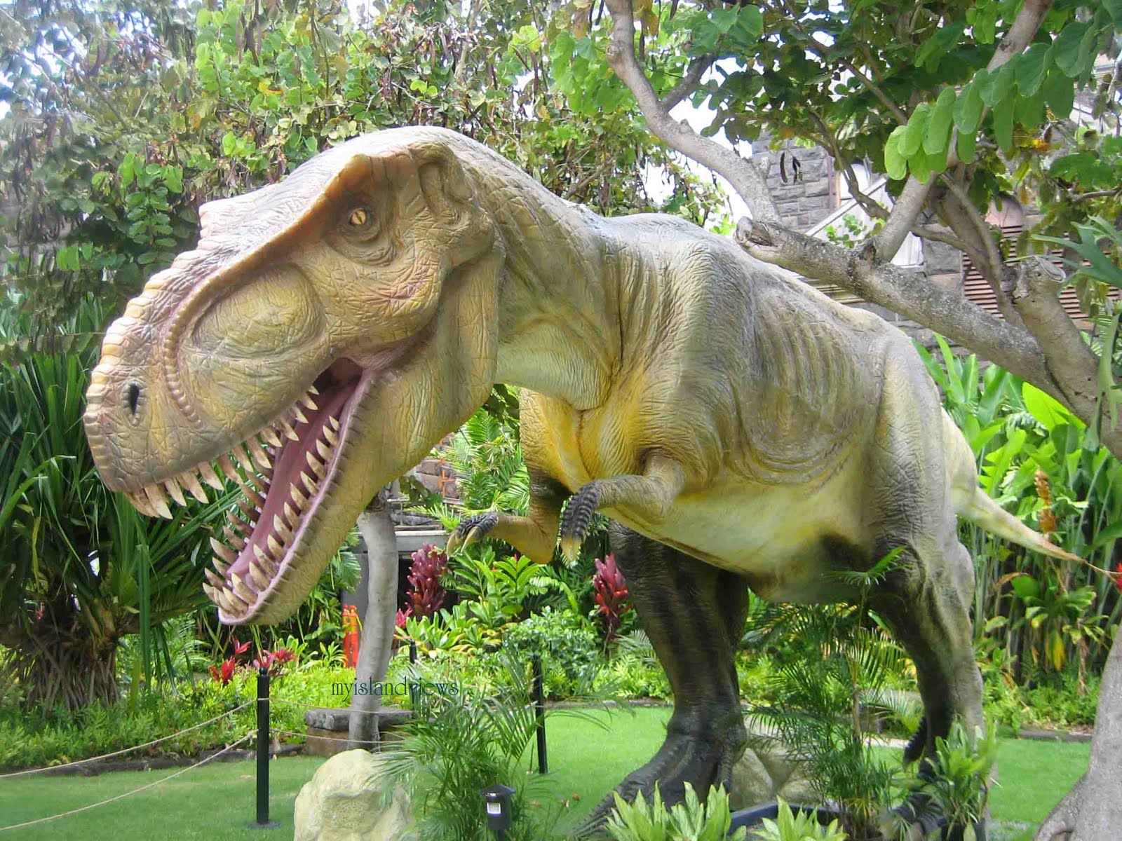 Hawaii Mom Blog Museum Dinosaurs Unearthed Feathered Discoveries
