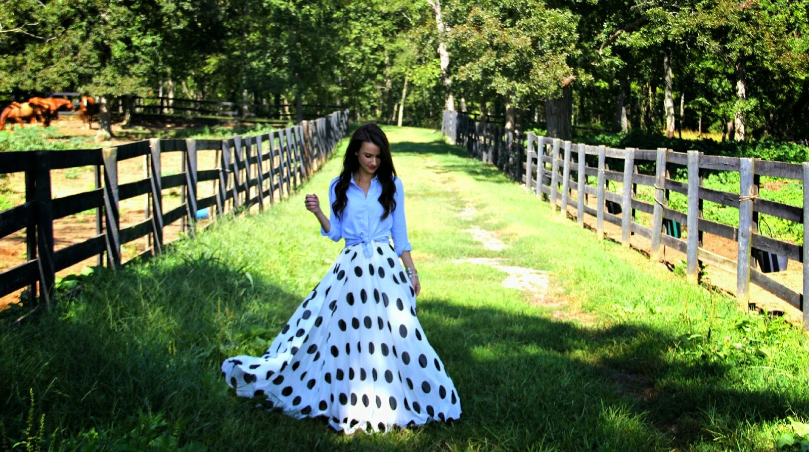 long chiffon maxi skirt