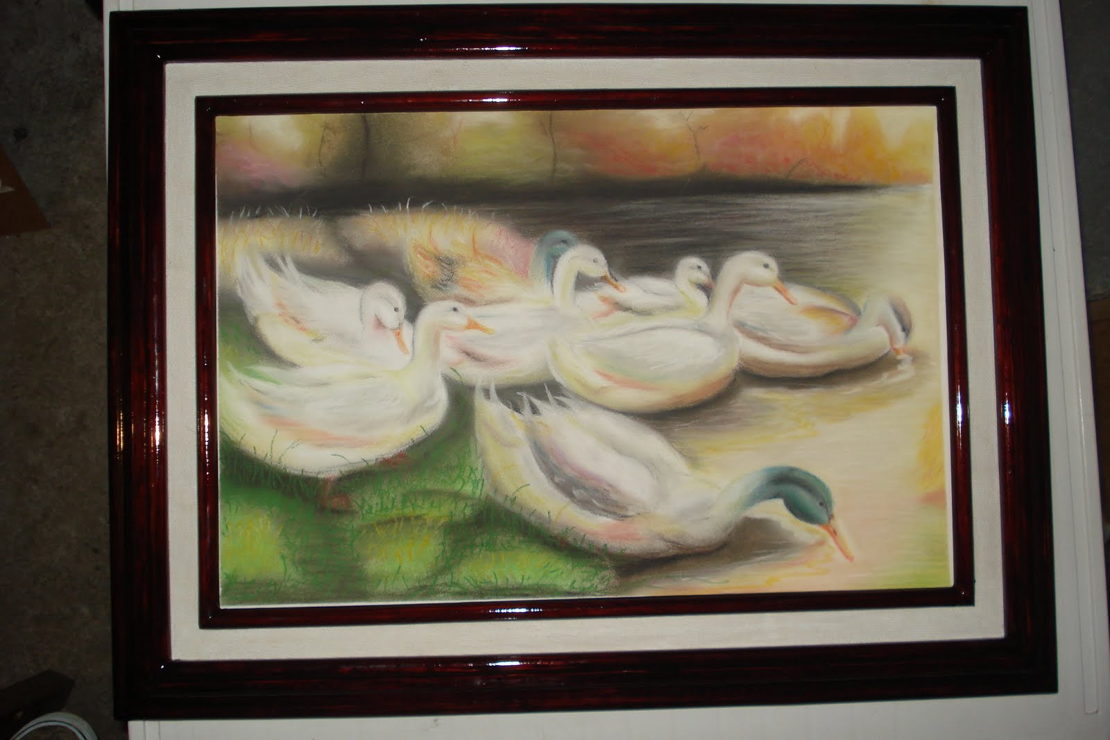 patos patos