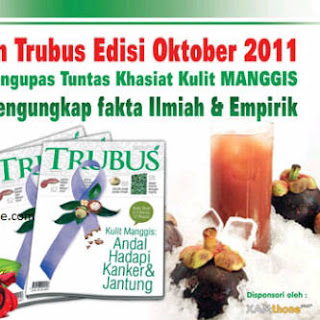 Obat Herbal Jantung Bocor Obat Herbal Penyakit Jantung Bocor