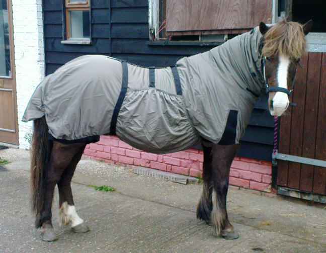 sweet itch in horses sweet itch fly sheet