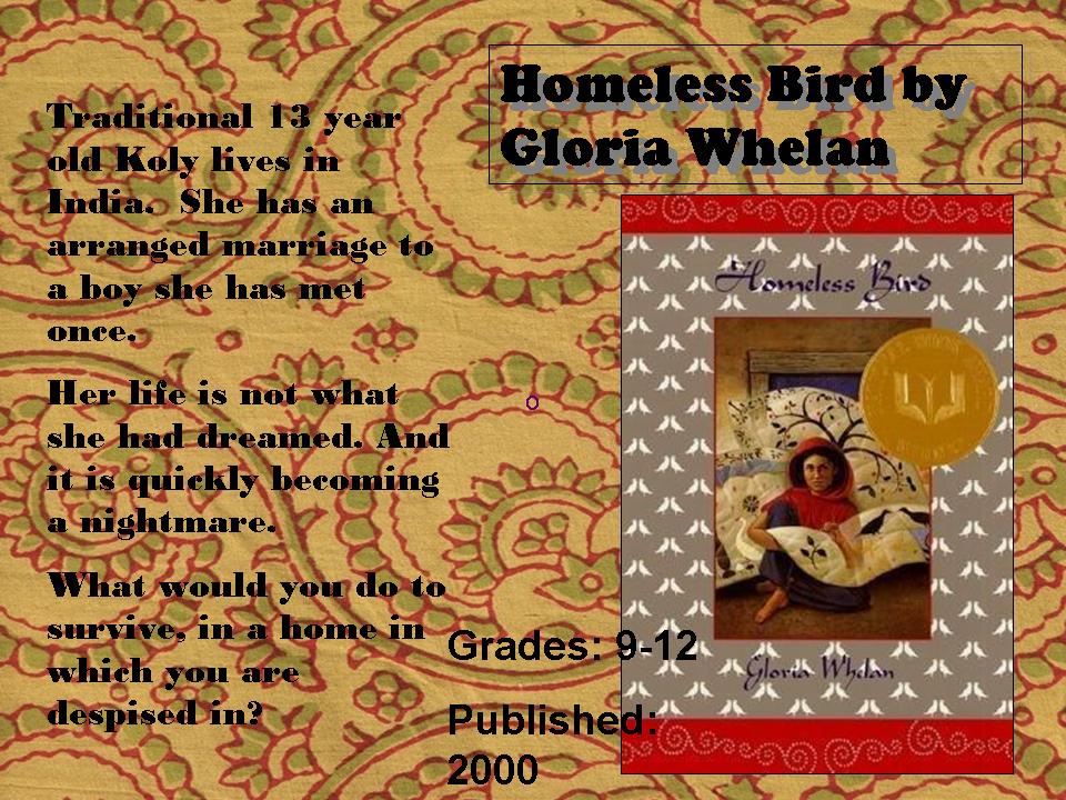 homeless bird