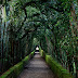 The path