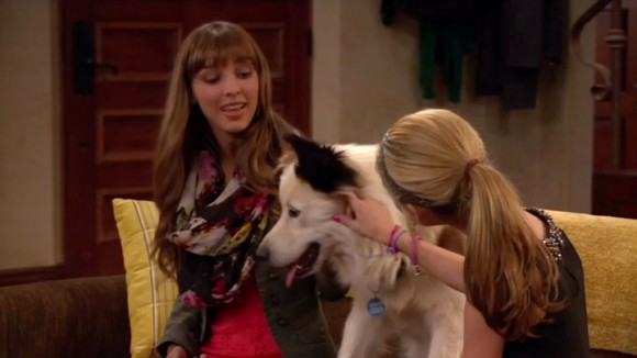 dog with a blog season 1