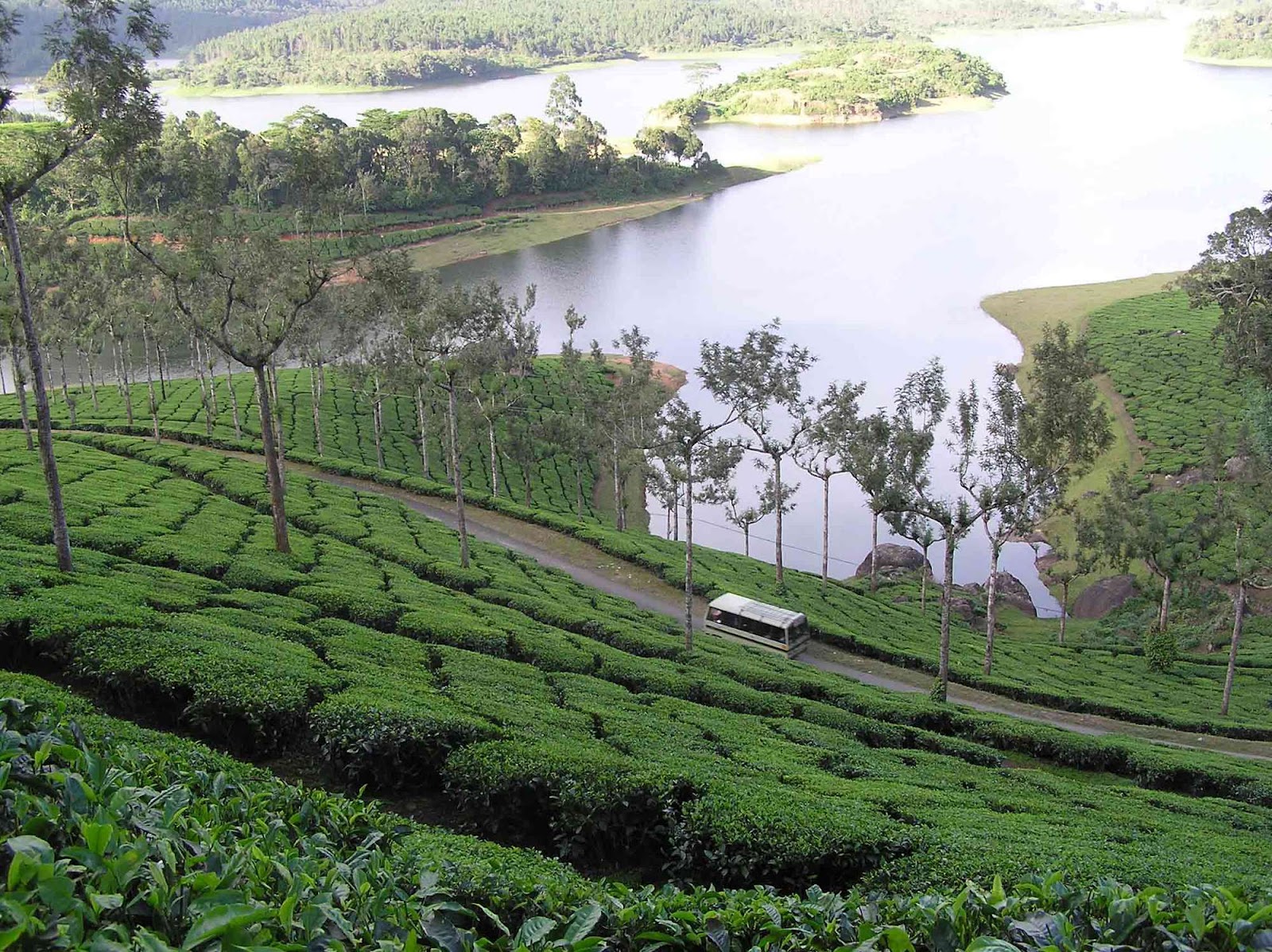 Tourism India | Travel in India | Holiday in India: Munnar - Kerala