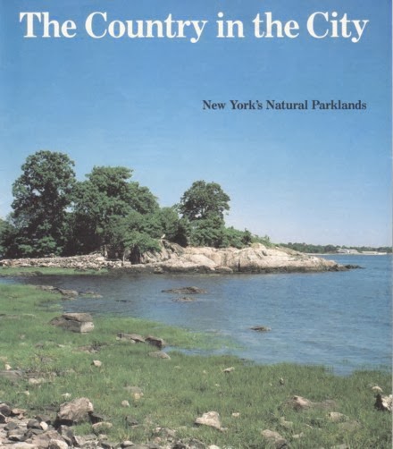 book Their World: A Diversity of Microbial Environments