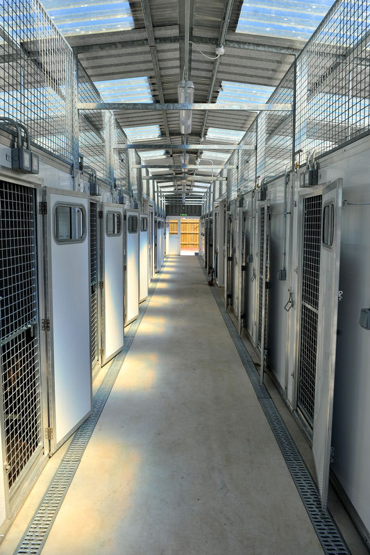 Weddings Portraits Events The Defence Animal Centre