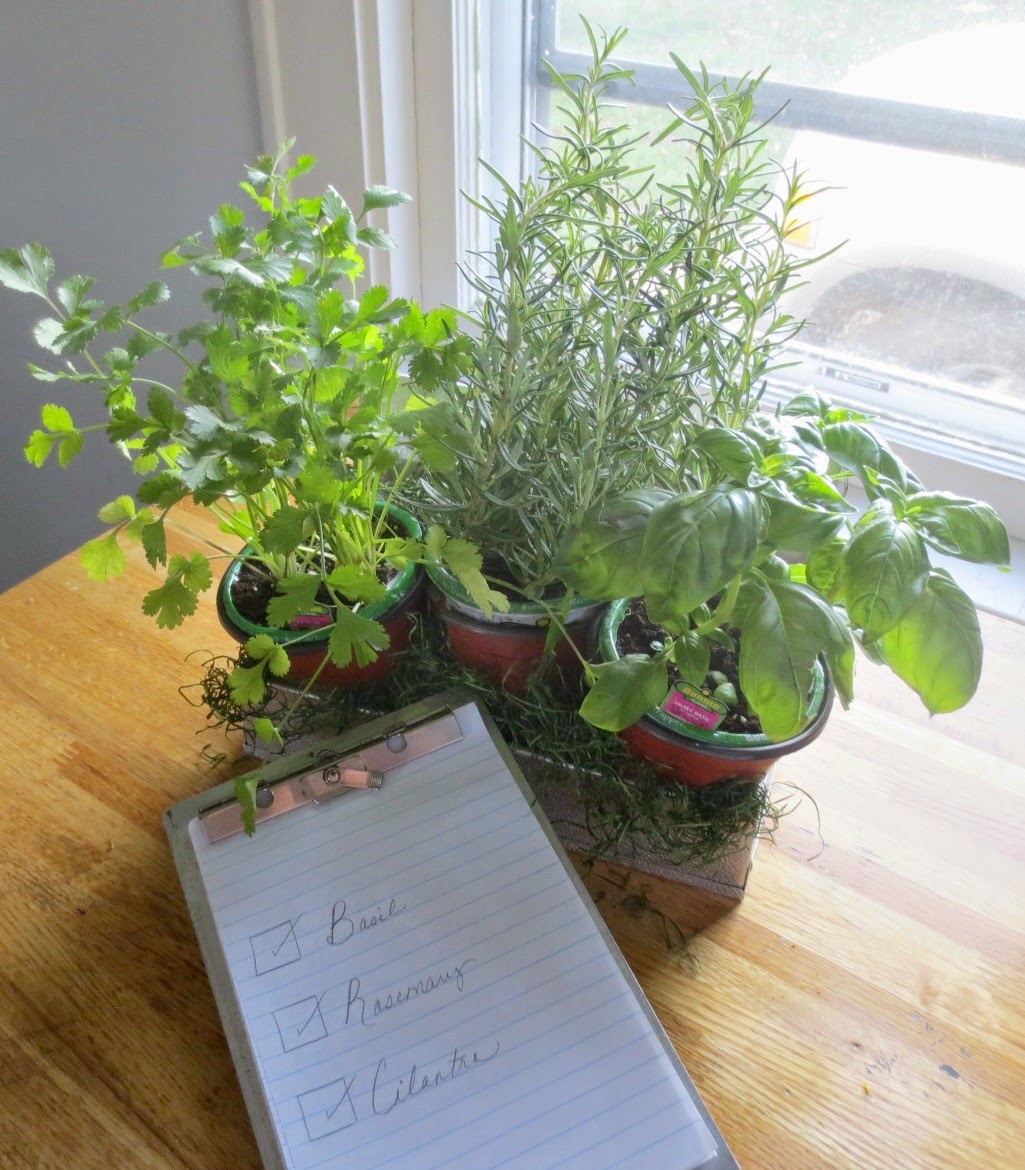 beyond the portico industrial style windowsill herb garden beyond the portico industrial style windowsill herb garden
