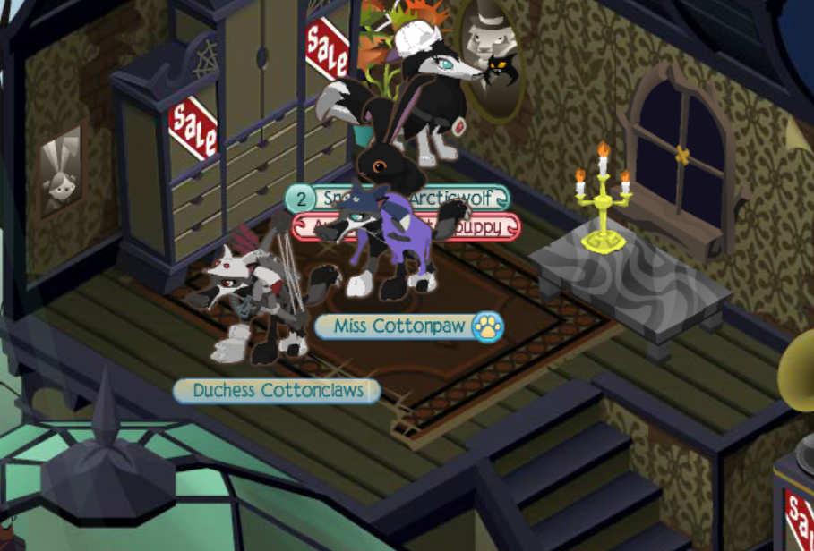 Animal jam Pet Bats?