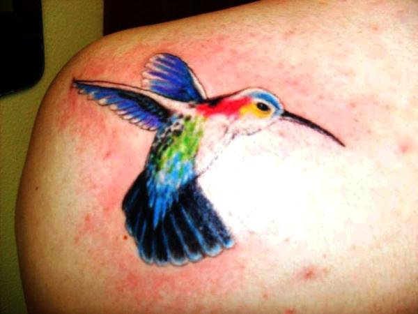humming bird tattoos hummingbird tattoos on shoulder color humming bird tattoos hummingbird tattoos on shoulder color