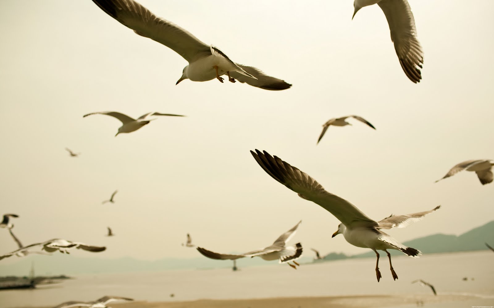 http://4.bp.blogspot.com/-pDOEGB4z_O0/TbTmkwRAxzI/AAAAAAAACtQ/vYaz-qs4rJ4/s1600/+2560x1600+Wallpaper.jpeg