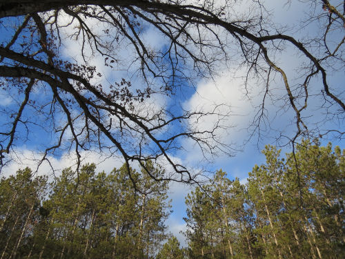 blue sky