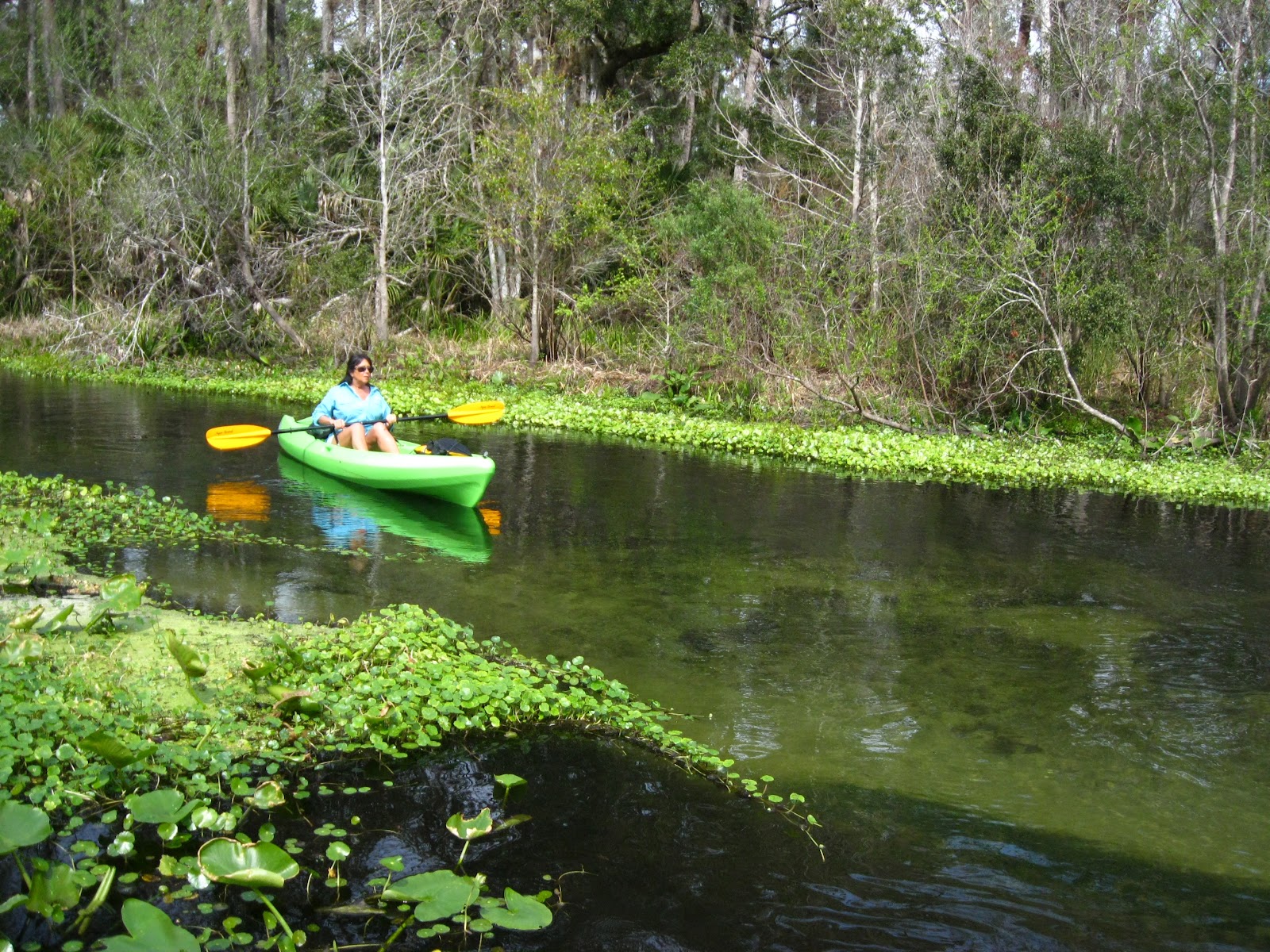 Central Florida Kayak Tours Rock Springs Run, a great day on the water