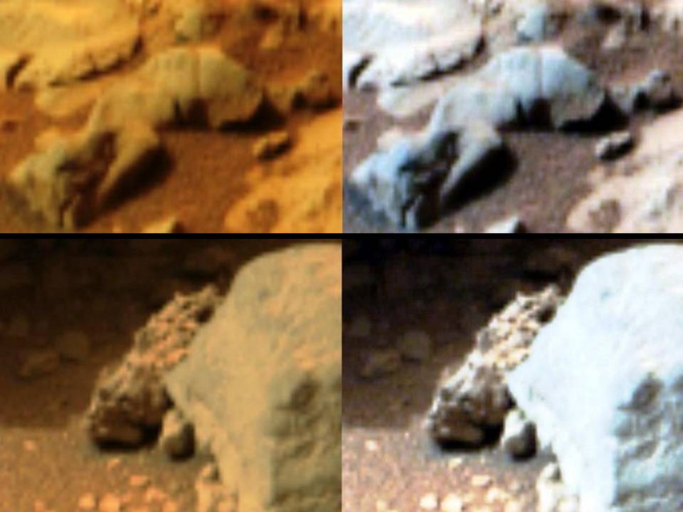 Mars Anomalies Strange Rocks, Fossils, Artefacts Mar 14, 2013