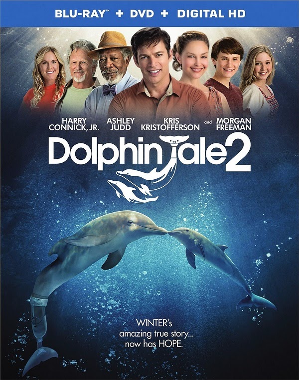Dolphin Tale 2 มหัศจรรย์โลมาหัวใจนักสู้ 2