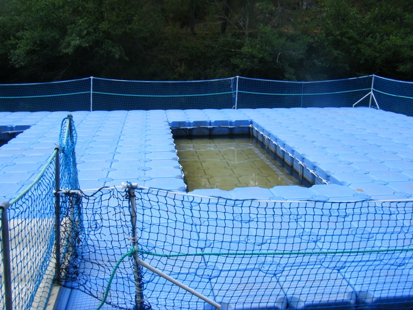 Piscina Flutuante para crianças