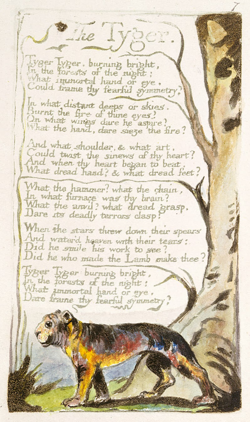 The poem the tyger by william blake english literature essay