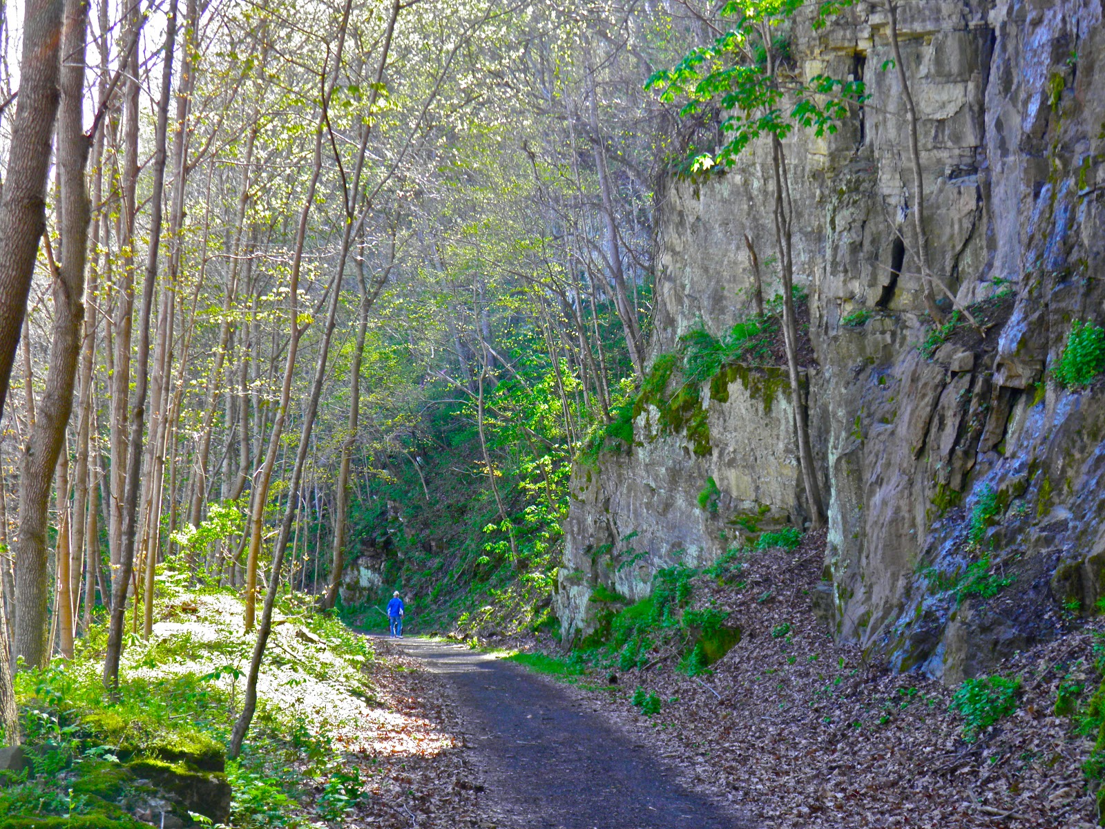 From Captain's Daughter to Army Mom New River Trail Ride Galax, Virginia