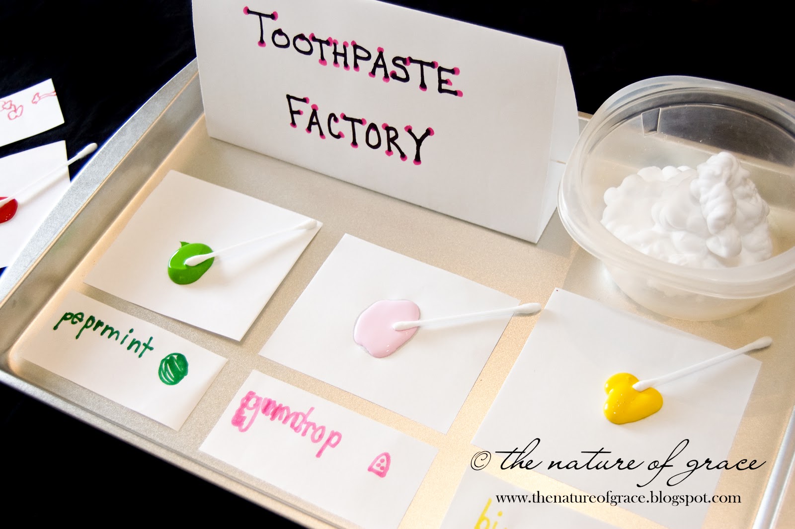 The Nature of Grace Homeschool Theme of the Week Dentist and Teeth!