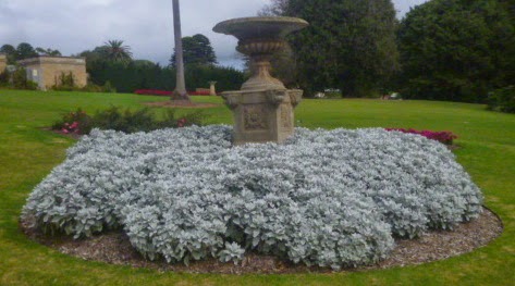 Bird Bath