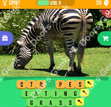 1 Pic 3 Words Level 210 answers cheats, solutions, walkthrough for 1 pic 3 words level 210