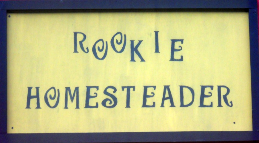 The Rookie Homesteader