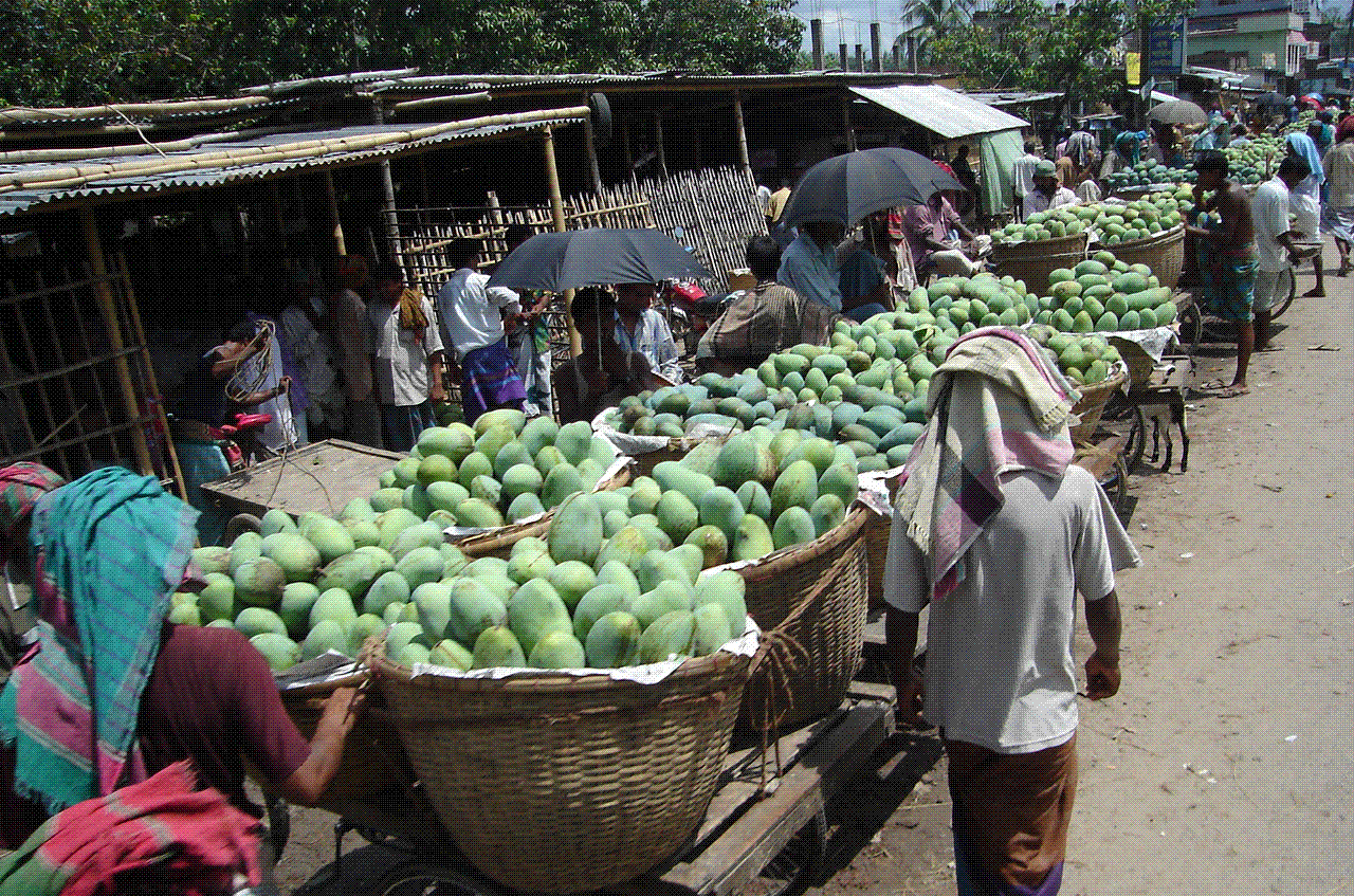 Digital Minilab Camera Review Bangladeshi Favarite Mango