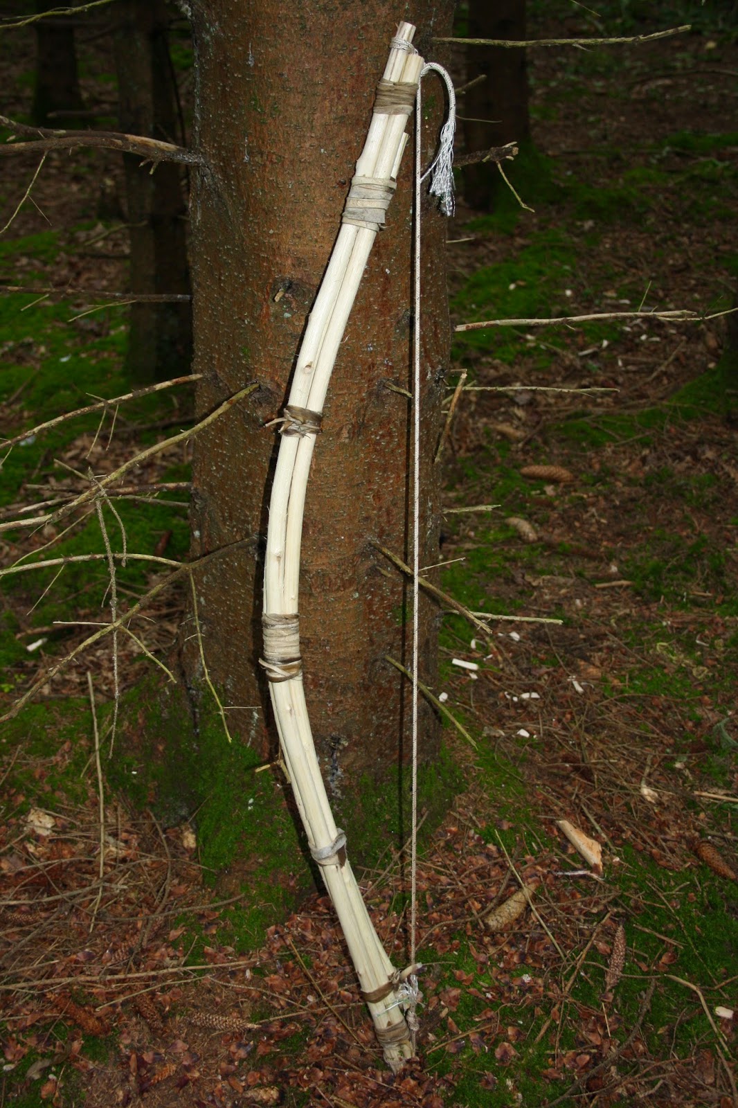 Wilderness Survival Skills and Bushcraft Antics A Week in the Wilds