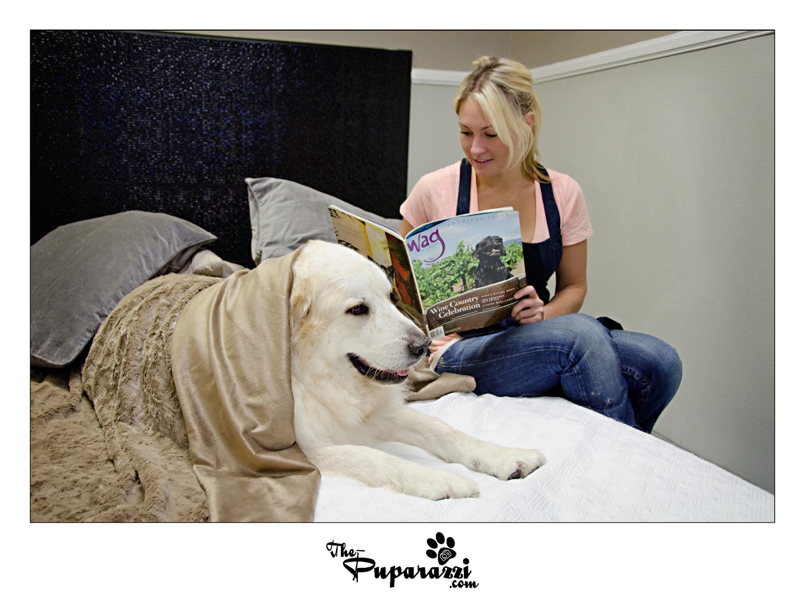 The Puparazzi Photoshoot For Wag Hotel Sacramento Capitol Suite Photoshoot For Wag Hotel Sacramento Capitol Suite Photographer