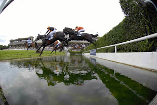 Hippodrome de Pau - Meeting d'hiver 2012-2013