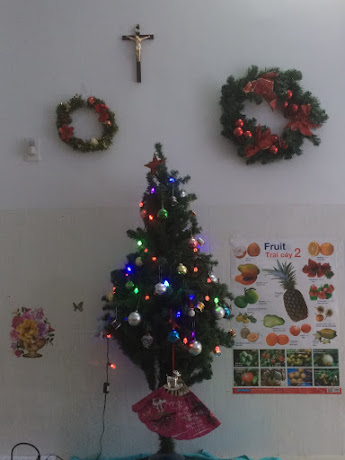 Our humble tree