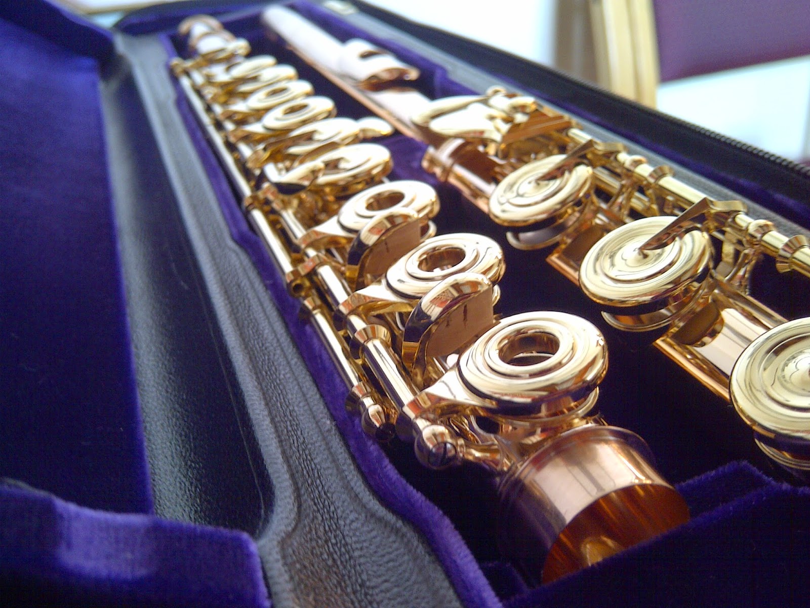 Repair My Flute No Extras Needed