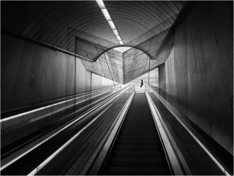 emerging photographers, Best Photo of the Day in Emphoka by Albêrto B, https://flic.kr/p/raN2sm emerging photographers, Best Photo of the Day in Emphoka by Albêrto B, https://flic.kr/p/raN2sm