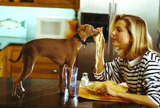 is rice ok for dogs oh my holistic doggery foods your should never eat is rice ok for dogs oh my holistic doggery foods your should never eat