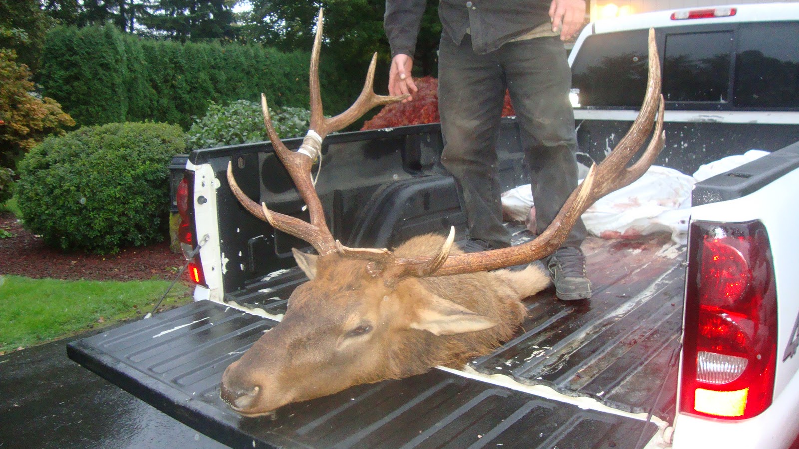 fhnw Eastern Oregon Elk Hunting