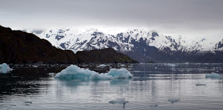 Aialik Bay Picture