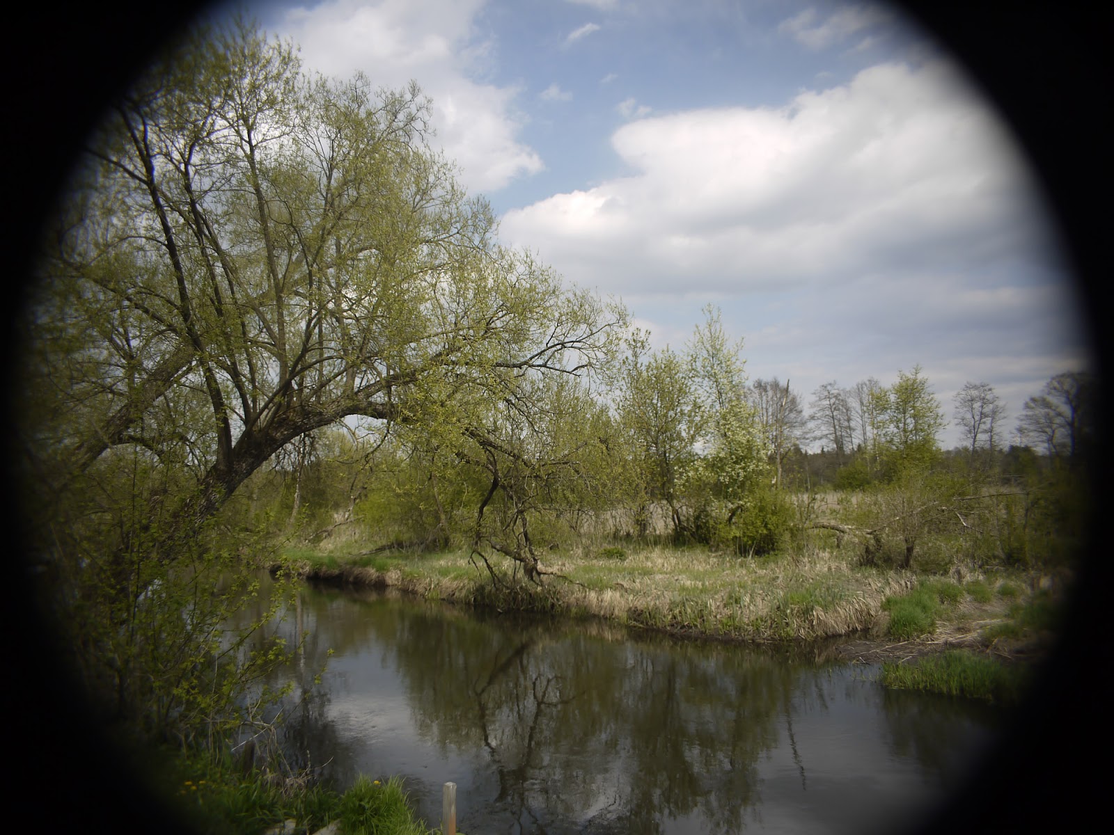 Cosmicar 12.5/1.9 @2.8 - landscape (full Micro Four Thirds sensor). Cosmicar 12.5/1.9 @2.8 - landscape (full Micro Four Thirds sensor).