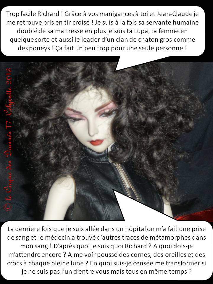 AB Story, Cirque:T24 ep7 p 51/E8 p 52/+E9 p 52 Diapositive42