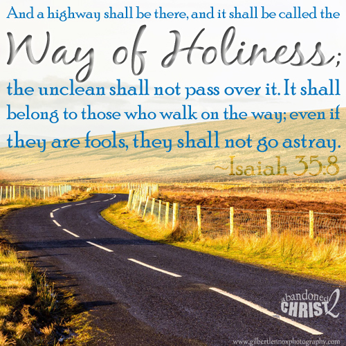 Abandoned to Christ: #NeverTrump: I'm One of Those Fools